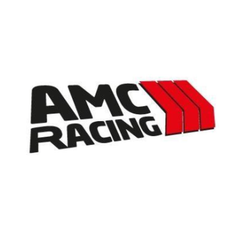 Susținerea automobilismului sportiv românesc